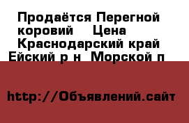 Продаётся Перегной (коровий) › Цена ­ 200 - Краснодарский край, Ейский р-н, Морской п.  »    